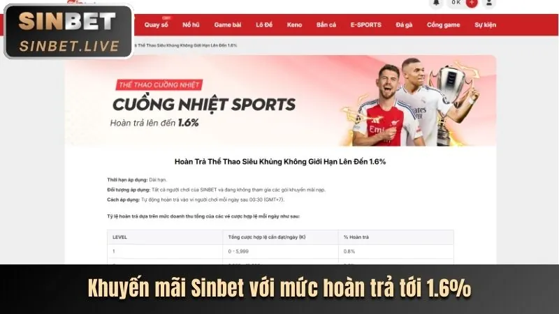 Hoàn trả cao cấp RT88